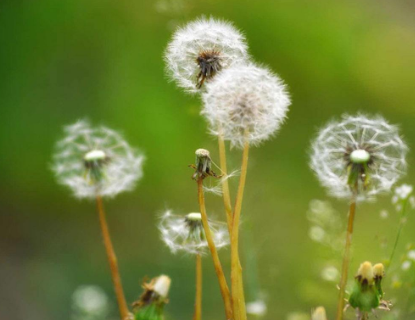 皮肤长痘痘原因有哪些呢？