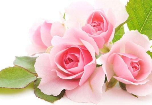 用饮食调治黄褐斑的窍门