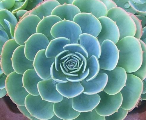 引起黄褐斑的原因有哪些