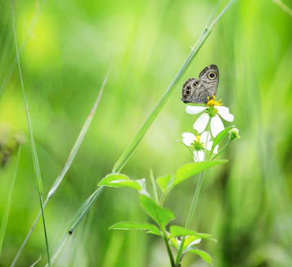 皮肤过敏由哪些原因引起？